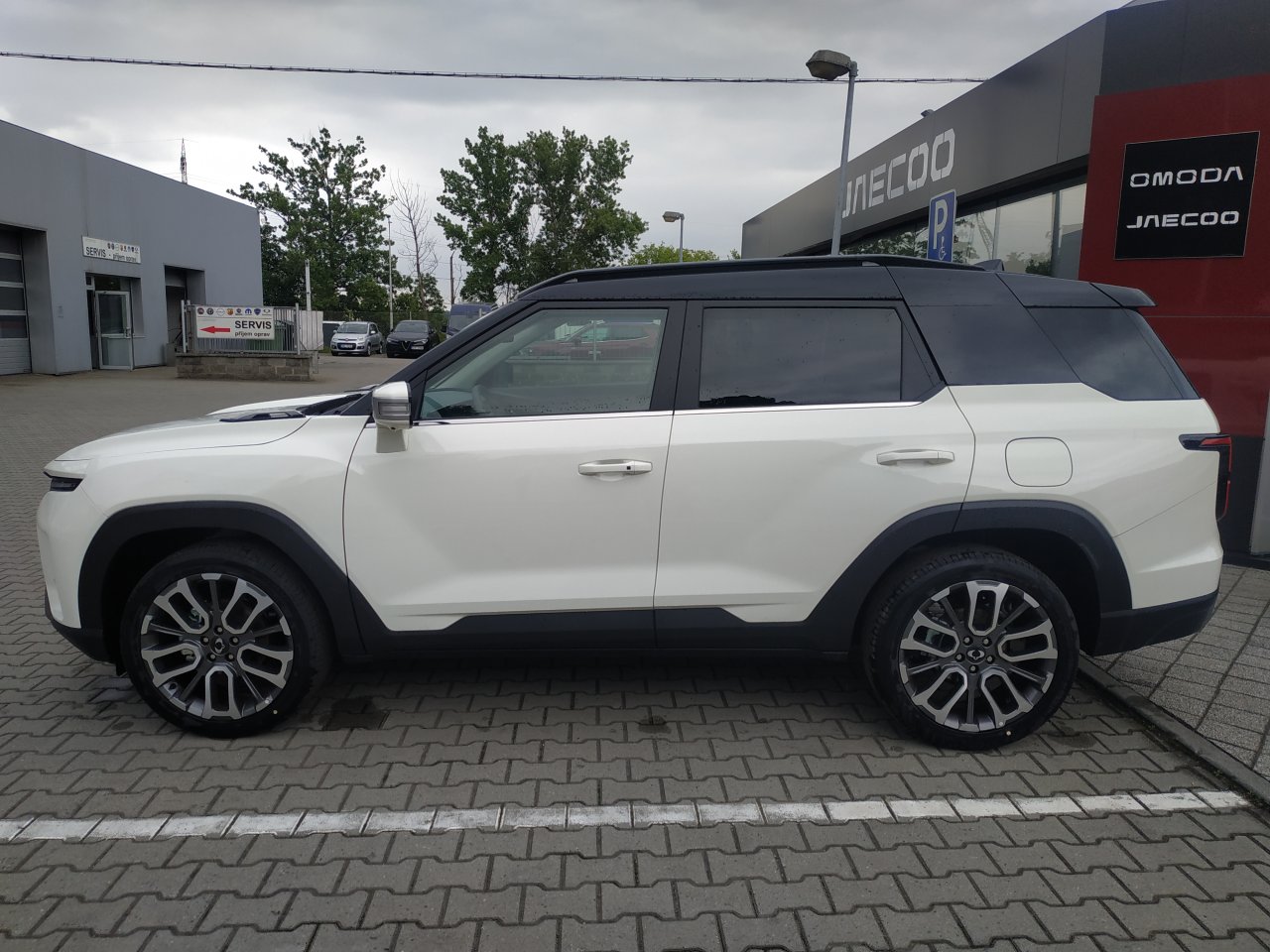 Torres PREMIUM 4WD AT (2WA)