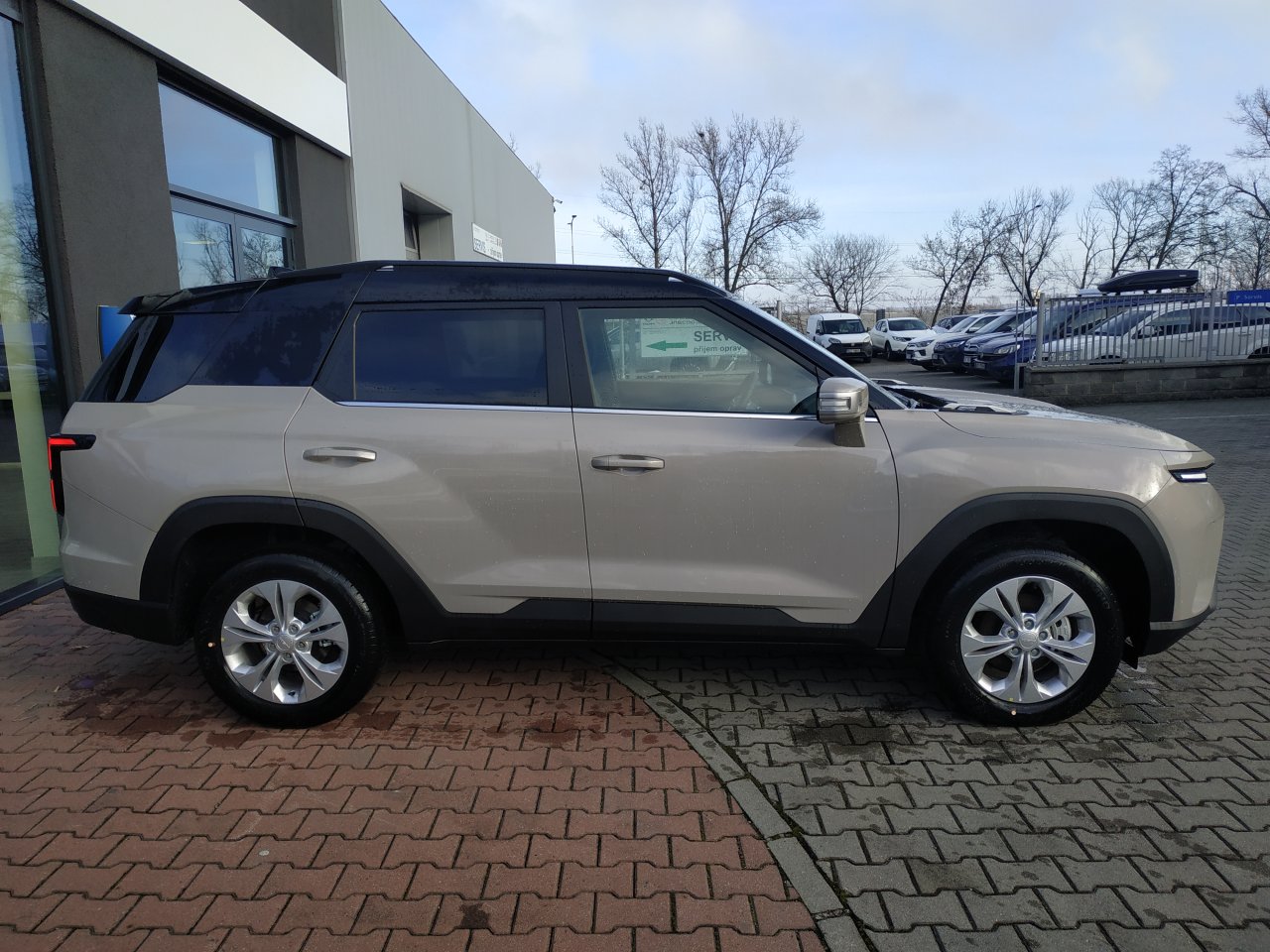 Torres CLUB+ 2WD AT (EBL)